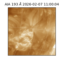 saia - 2026-02-07T11:00:04.843000