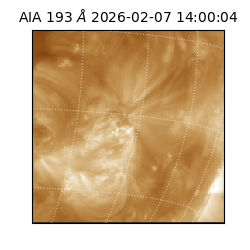 saia - 2026-02-07T14:00:04.843000