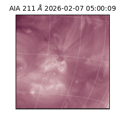 saia - 2026-02-07T05:00:09.626000