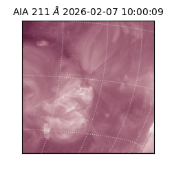 saia - 2026-02-07T10:00:09.630000