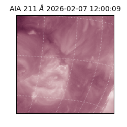 saia - 2026-02-07T12:00:09.630000