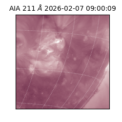 saia - 2026-02-07T09:00:09.626000