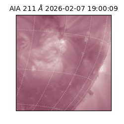 saia - 2026-02-07T19:00:09.633000