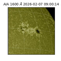 saia - 2026-02-07T09:00:14.126000