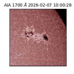 saia - 2026-02-07T10:00:28.718000