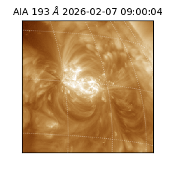 saia - 2026-02-07T09:00:04.843000
