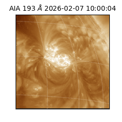 saia - 2026-02-07T10:00:04.843000