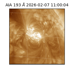 saia - 2026-02-07T11:00:04.843000