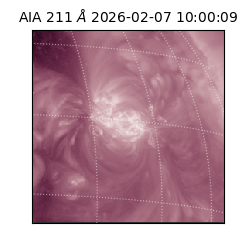 saia - 2026-02-07T10:00:09.630000