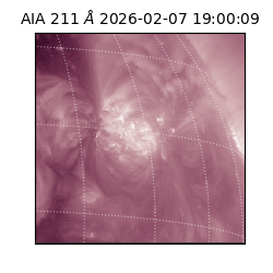 saia - 2026-02-07T19:00:09.633000