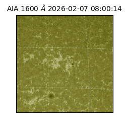 saia - 2026-02-07T08:00:14.126000