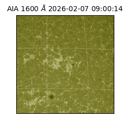 saia - 2026-02-07T09:00:14.126000