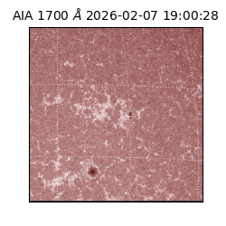 saia - 2026-02-07T19:00:28.718000