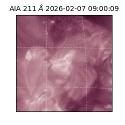 saia - 2026-02-07T09:00:09.626000