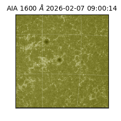 saia - 2026-02-07T09:00:14.126000