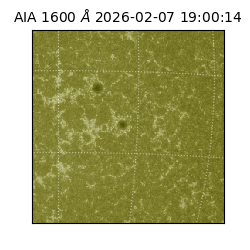 saia - 2026-02-07T19:00:14.126000