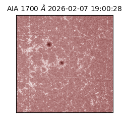 saia - 2026-02-07T19:00:28.718000