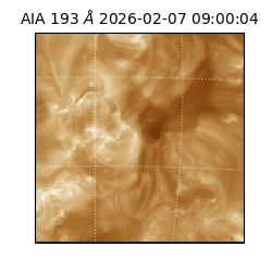 saia - 2026-02-07T09:00:04.843000