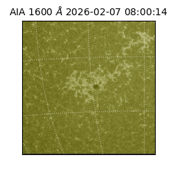 saia - 2026-02-07T08:00:14.126000