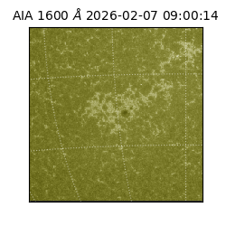 saia - 2026-02-07T09:00:14.126000