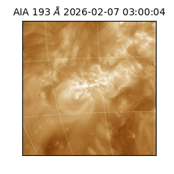 saia - 2026-02-07T03:00:04.835000