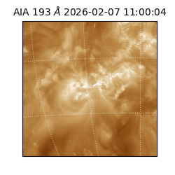 saia - 2026-02-07T11:00:04.843000