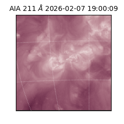 saia - 2026-02-07T19:00:09.633000