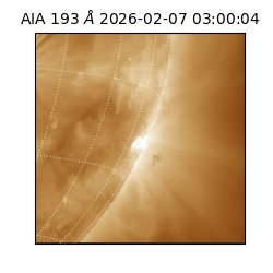 saia - 2026-02-07T03:00:04.835000