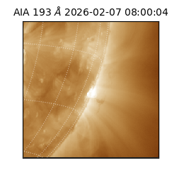 saia - 2026-02-07T08:00:04.843000