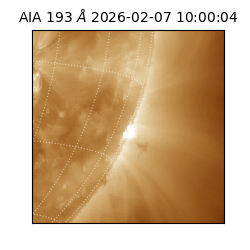 saia - 2026-02-07T10:00:04.843000