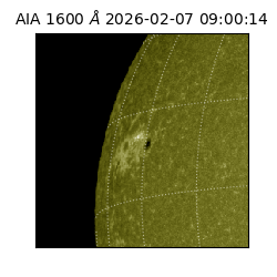 saia - 2026-02-07T09:00:14.126000