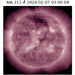 saia - 2026-02-07T03:00:09.619000