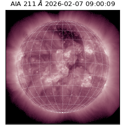 saia - 2026-02-07T09:00:09.626000