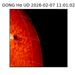 gong - 2026-02-07T11:01:02