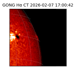 gong - 2026-02-07T17:00:42
