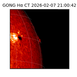 gong - 2026-02-07T21:00:42