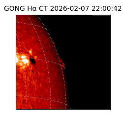 gong - 2026-02-07T22:00:42