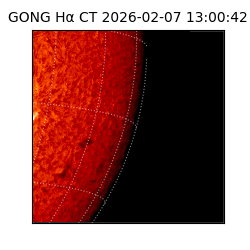 gong - 2026-02-07T13:00:42