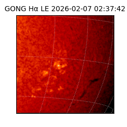 gong - 2026-02-07T02:37:42