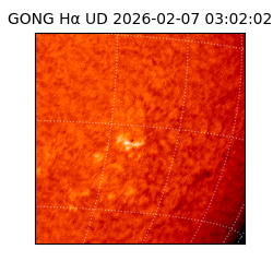 gong - 2026-02-07T03:02:02