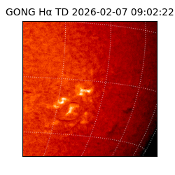 gong - 2026-02-07T09:02:22