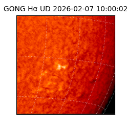 gong - 2026-02-07T10:00:02