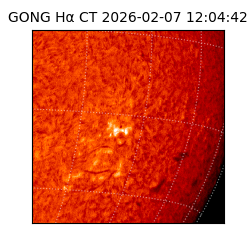 gong - 2026-02-07T12:04:42