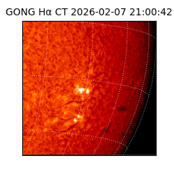 gong - 2026-02-07T21:00:42