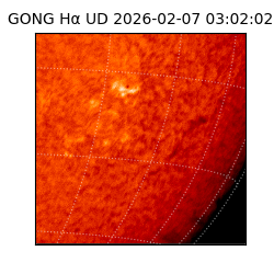 gong - 2026-02-07T03:02:02