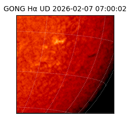 gong - 2026-02-07T07:00:02