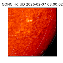 gong - 2026-02-07T08:00:02