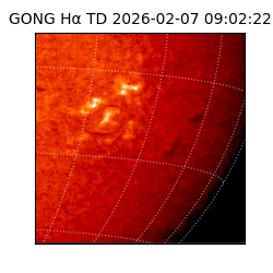 gong - 2026-02-07T09:02:22