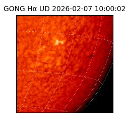 gong - 2026-02-07T10:00:02