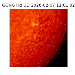 gong - 2026-02-07T11:01:02